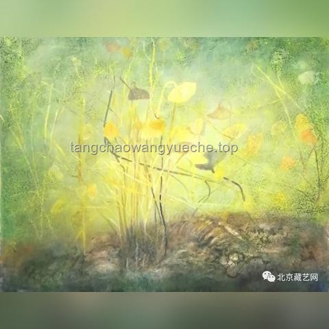 海百合：一朵自由的奇葩——探索海洋生态中的奇异生存策略